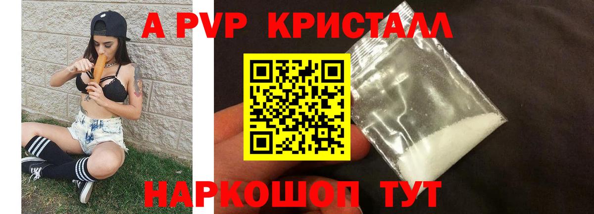 A PVP СК КРИС Тула