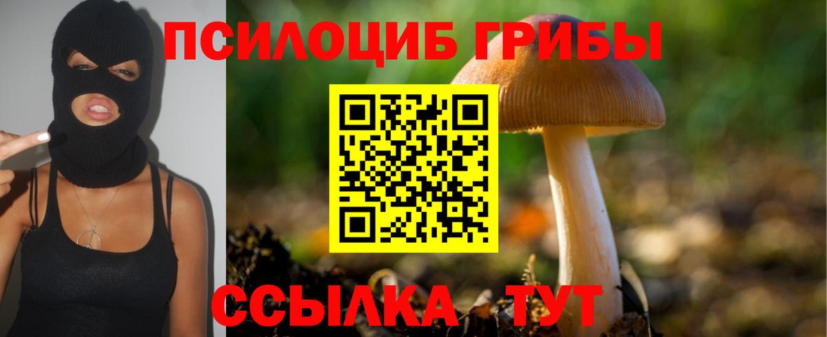 Псилоцибиновые грибы мухоморы Тула